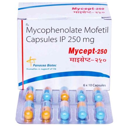 Mycophenolate Mofetil Bulk Exporter Mycophenolate Mofetil Bulk Exporter third party manufacturer